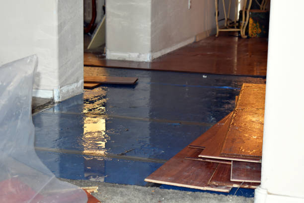 Professional Sewage Cleanup technician working in Chatfield, OH